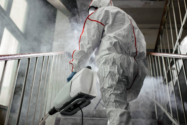 Best Mold Prevention Services  in Rochester, WI